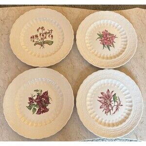 Spode England 9" Set of 4 Luncheon Plates BERMUDA FLOWERS Assorted Vintage